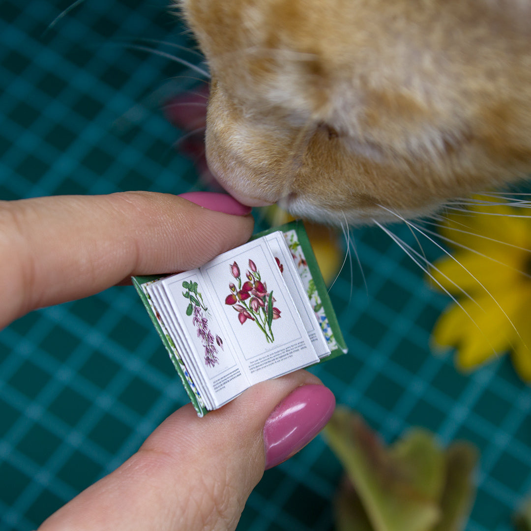 TEMPLATE Miniature botanical art book | PDF