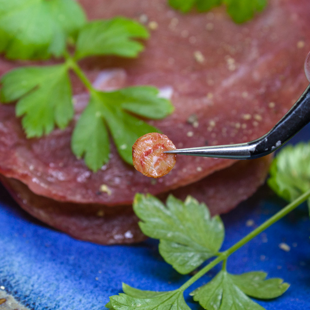 TUTORIAL Miniature turkey dry salami with polymer clay | PDF + video