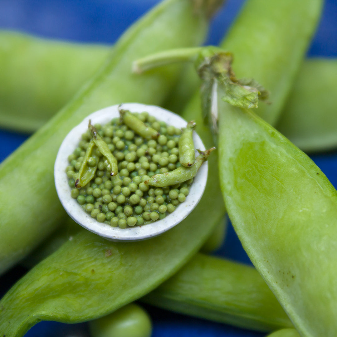 TUTORIAL Miniature peas with polymer clay | PDF + video