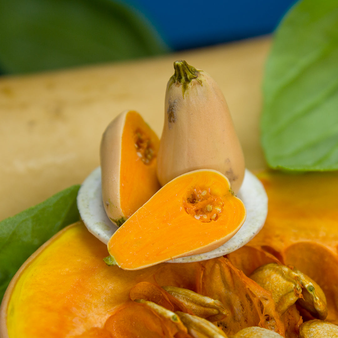 TUTORIAL Miniature bottle pumpkin / miniature butternut squash with polymer clay | PDF + video