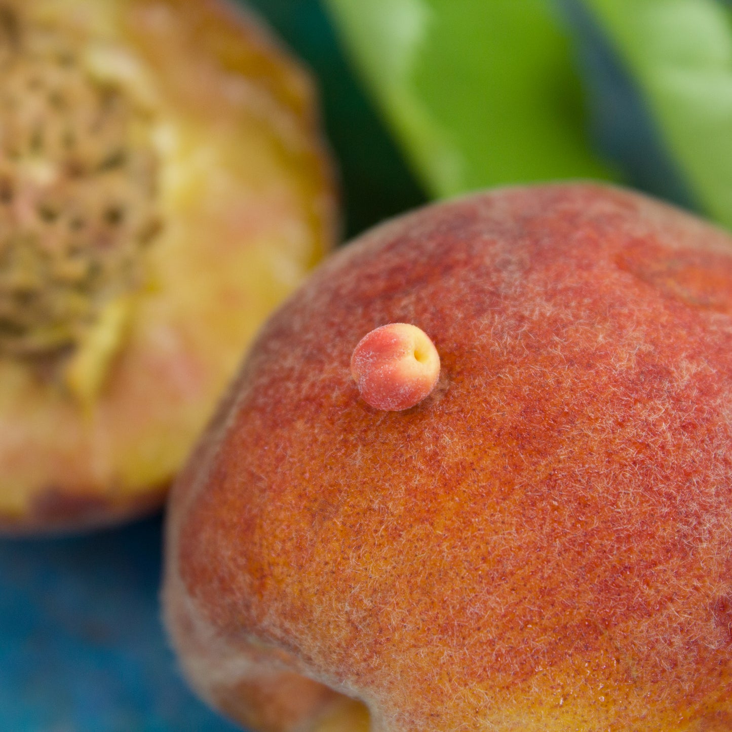 TUTORIAL Miniature peaches with polymer clay | PDF + video