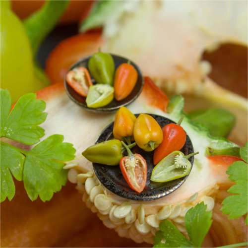TUTORIAL Miniature pepper with polymer clay for 1:12 scale dollhouse | PDF + video