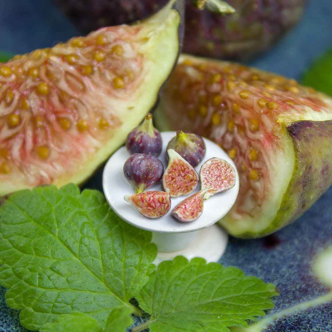 TUTORIAL Miniature fig cane with polymer clay | PDF + video
