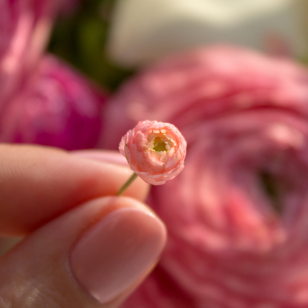 TUTORIAL Miniature ranunculus with air dry clay | PDF + video