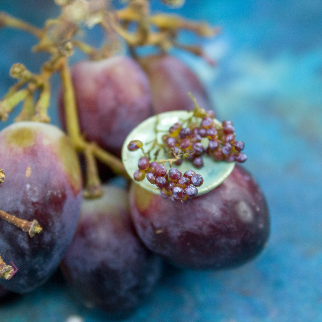 TUTORIAL Miniature red grape with polymer clay | PDF + video