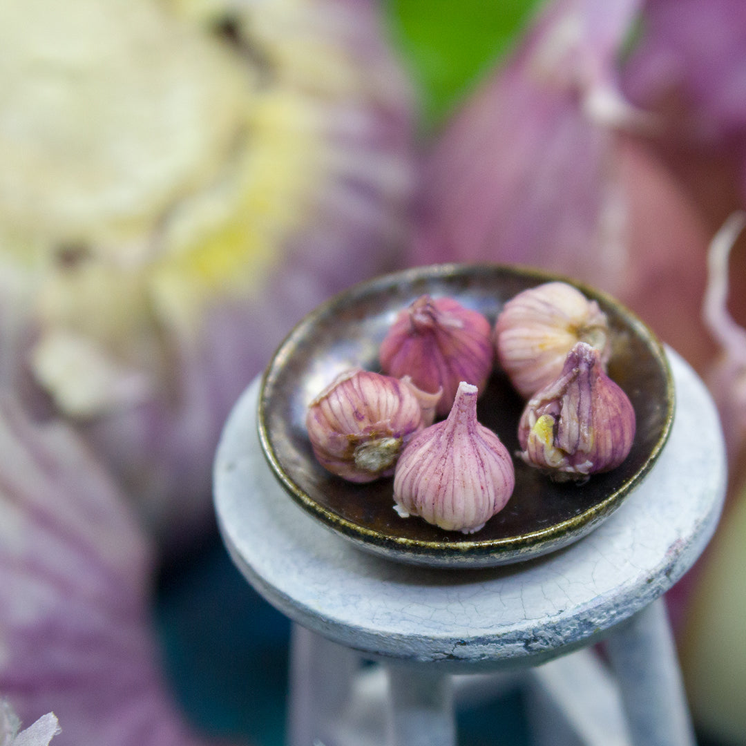 TUTORIAL Miniature garlic with polymer clay for 1:12 scale dollhouse | PDF + video