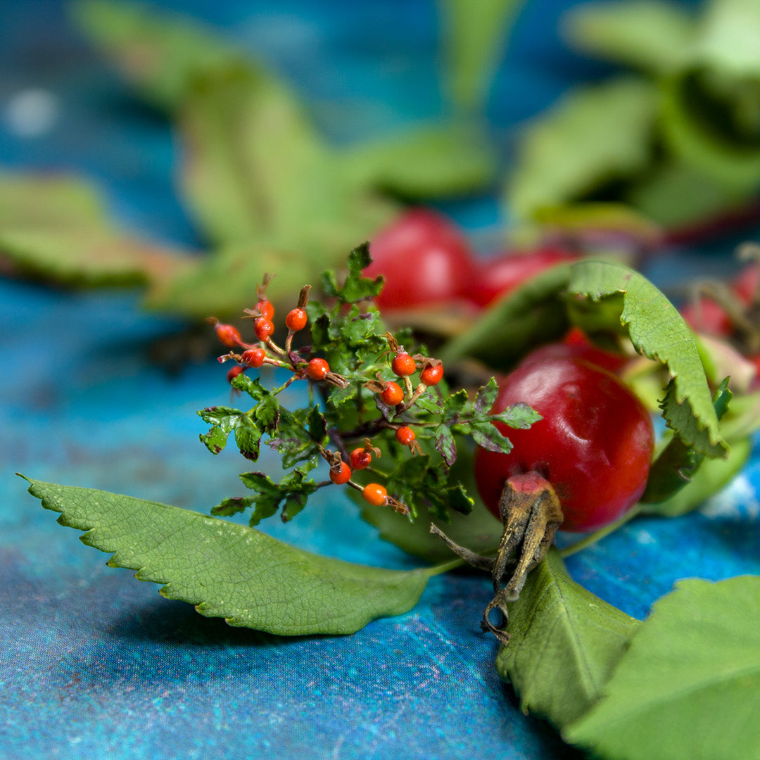 TUTORIAL Miniature rosehip sprig with air dry clay | PDF + video