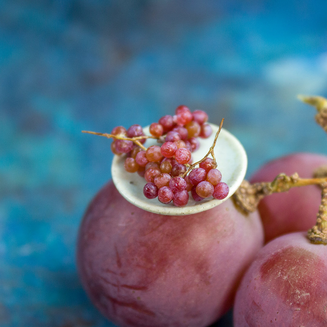TUTORIAL Miniature red grape with polymer clay for 1:12 scale dollhouse | PDF + video