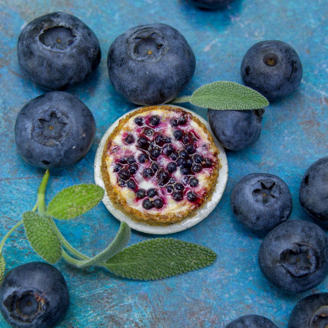 TUTORIAL Miniature blueberry cheesecake with polymer clay | PDF + video