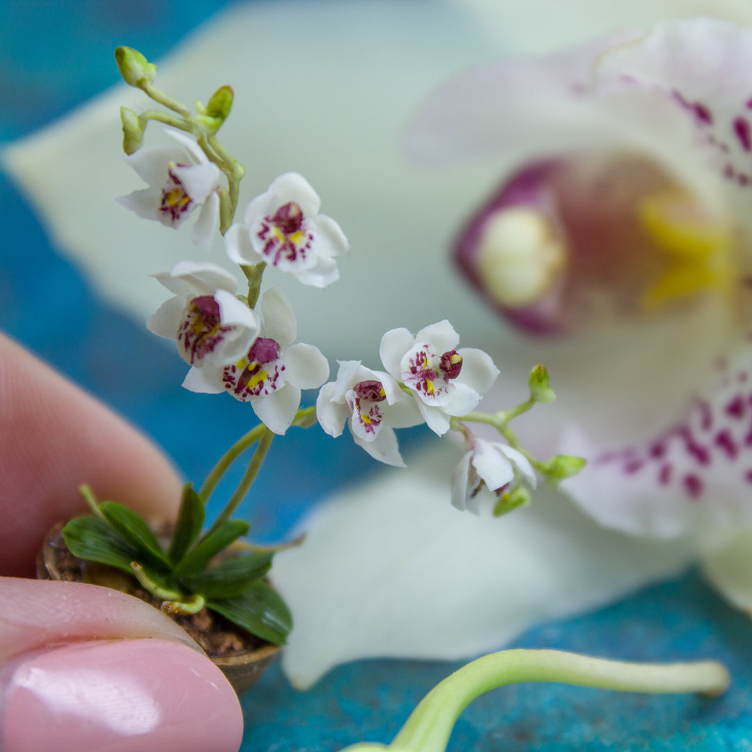 TUTORIAL Miniature orchid with air dry clay | PDF + video