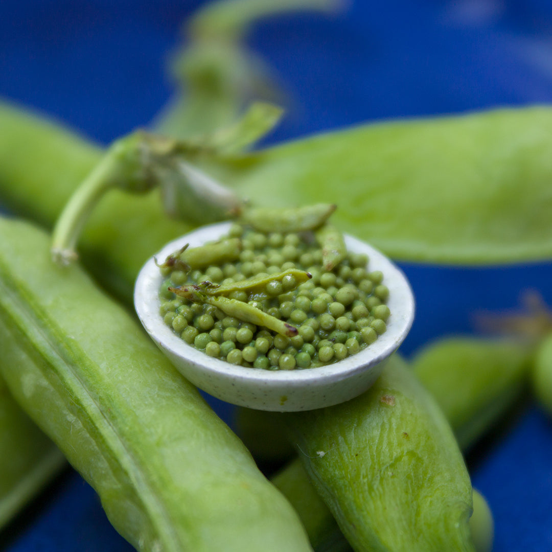 TUTORIAL Miniature peas with polymer clay | PDF + video