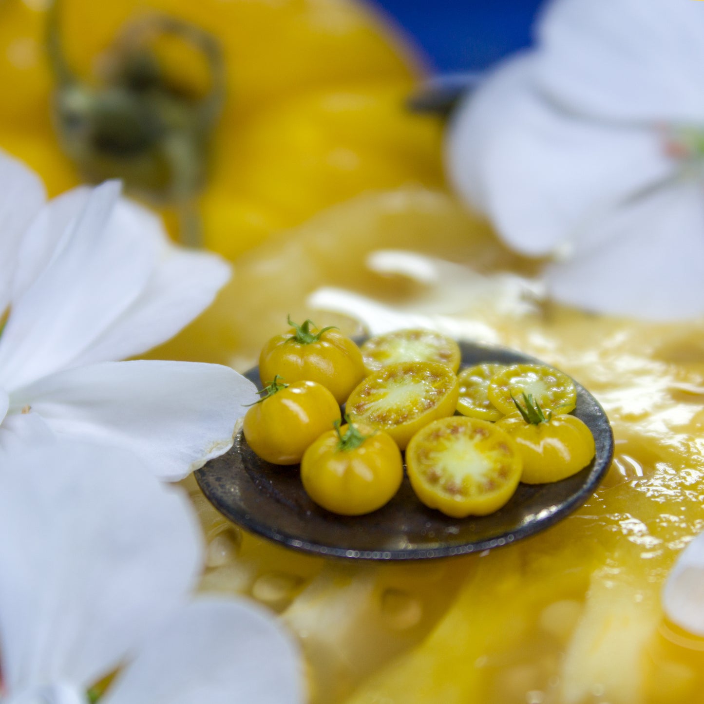 TUTORIAL Miniature big yellow tomato cane with polymer clay | PDF + video