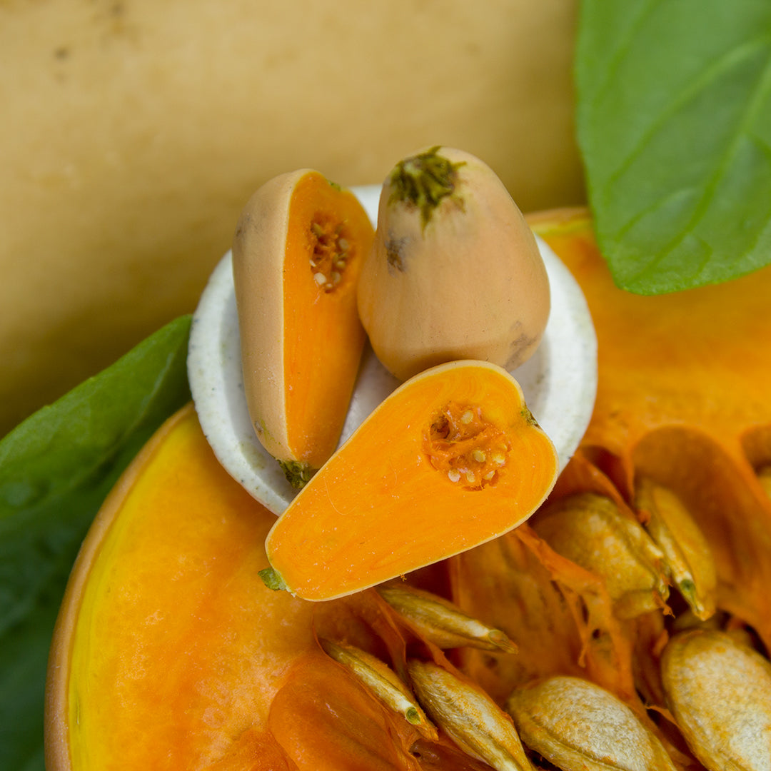 TUTORIAL Miniature bottle pumpkin / miniature butternut squash with polymer clay | PDF + video