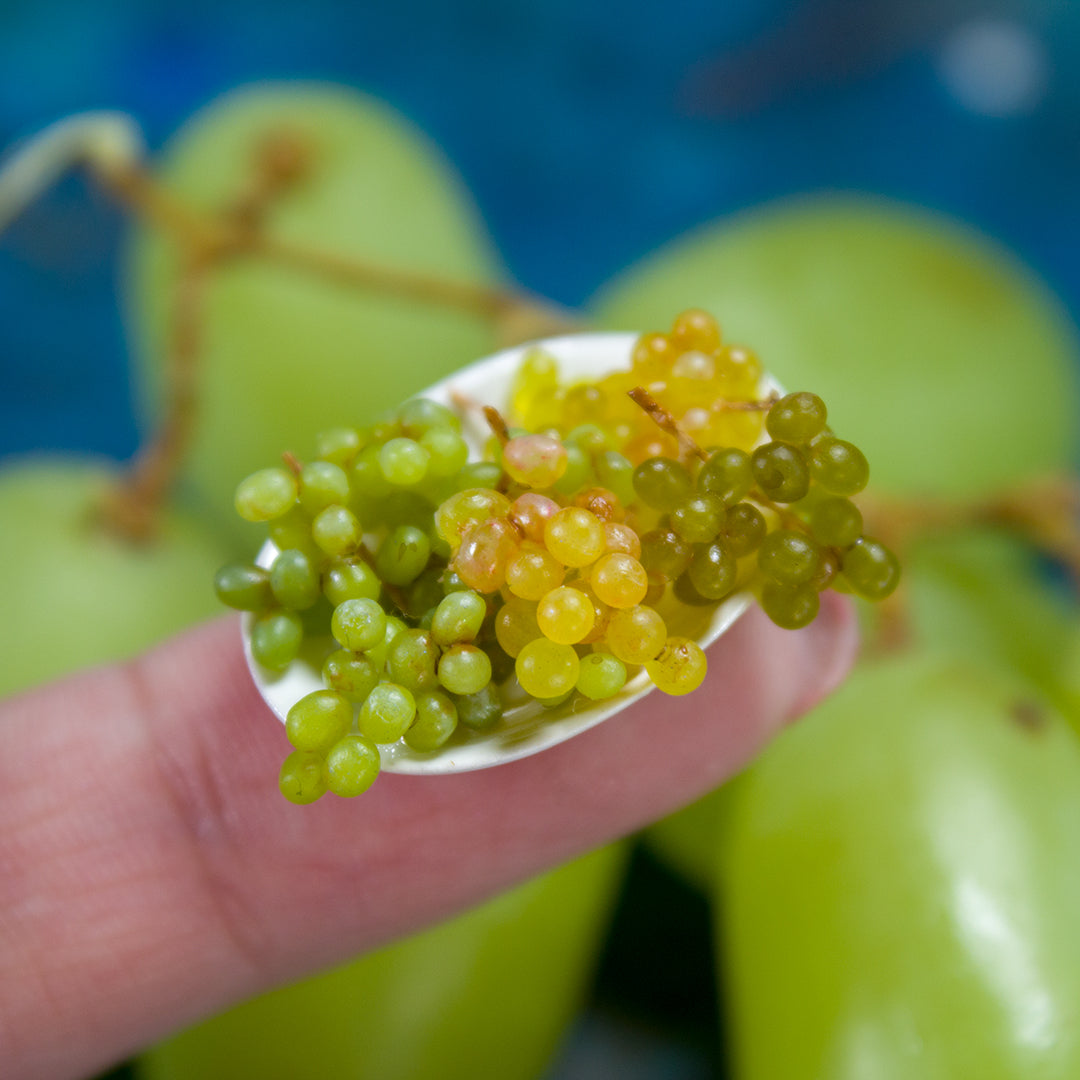TUTORIAL Miniature grape with polymer clay | PDF + video