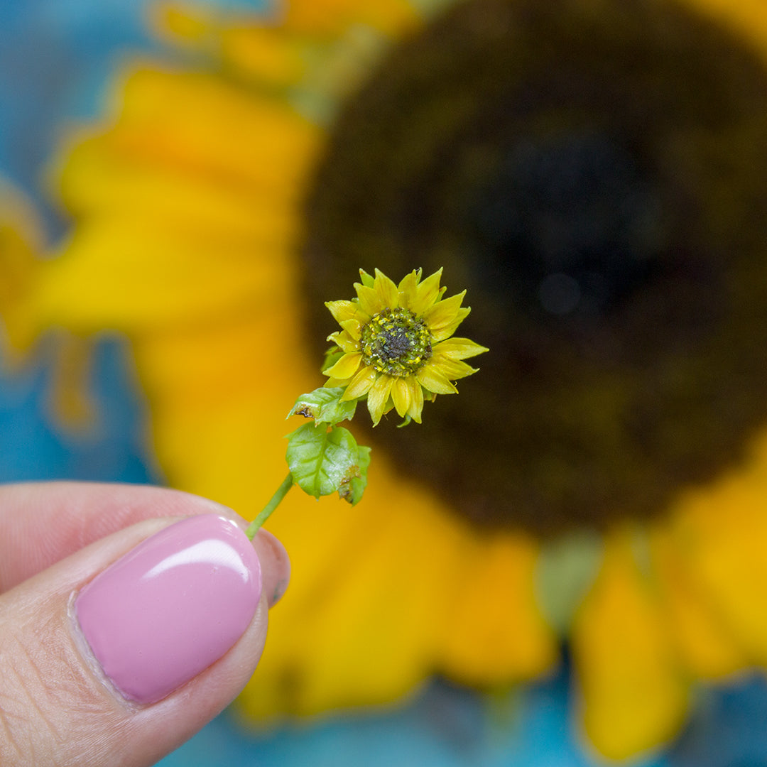 TUTORIAL Miniature sunflower with air dry clay | PDF + video