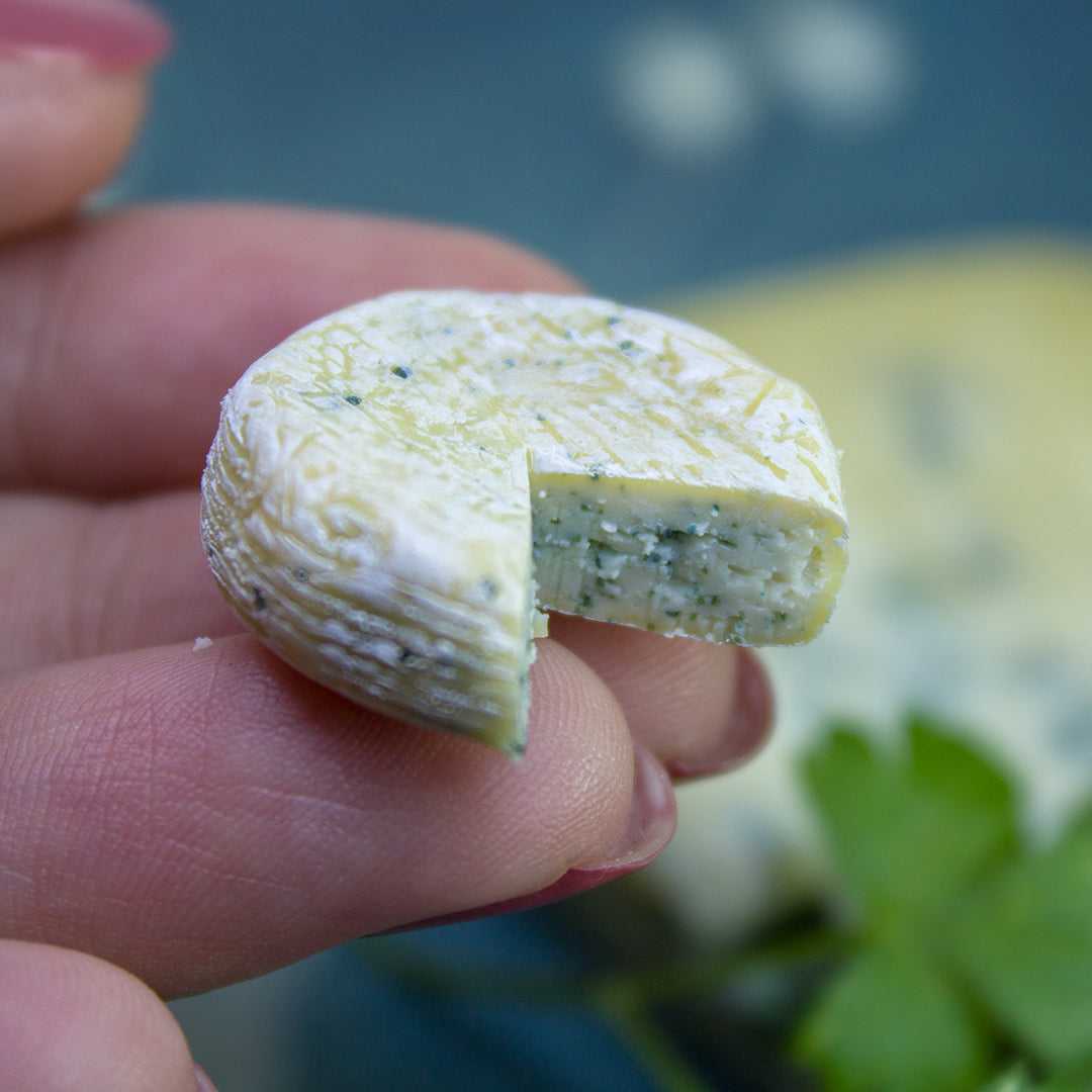 TUTORIAL Miniature blue cheese with polymer clay | PDF + video