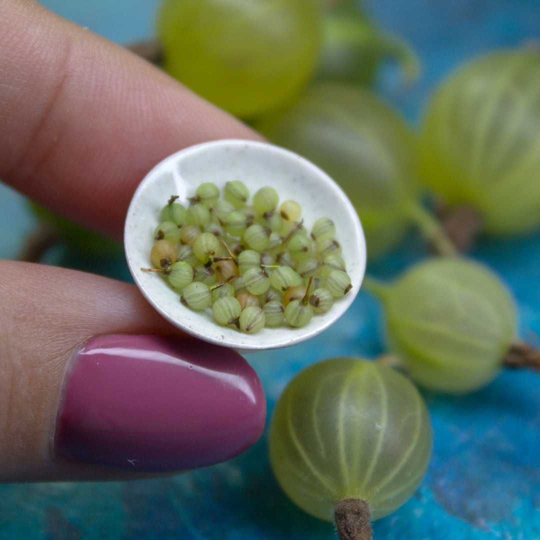 TUTORIAL Miniature gooseberries with polymer clay | PDF + video