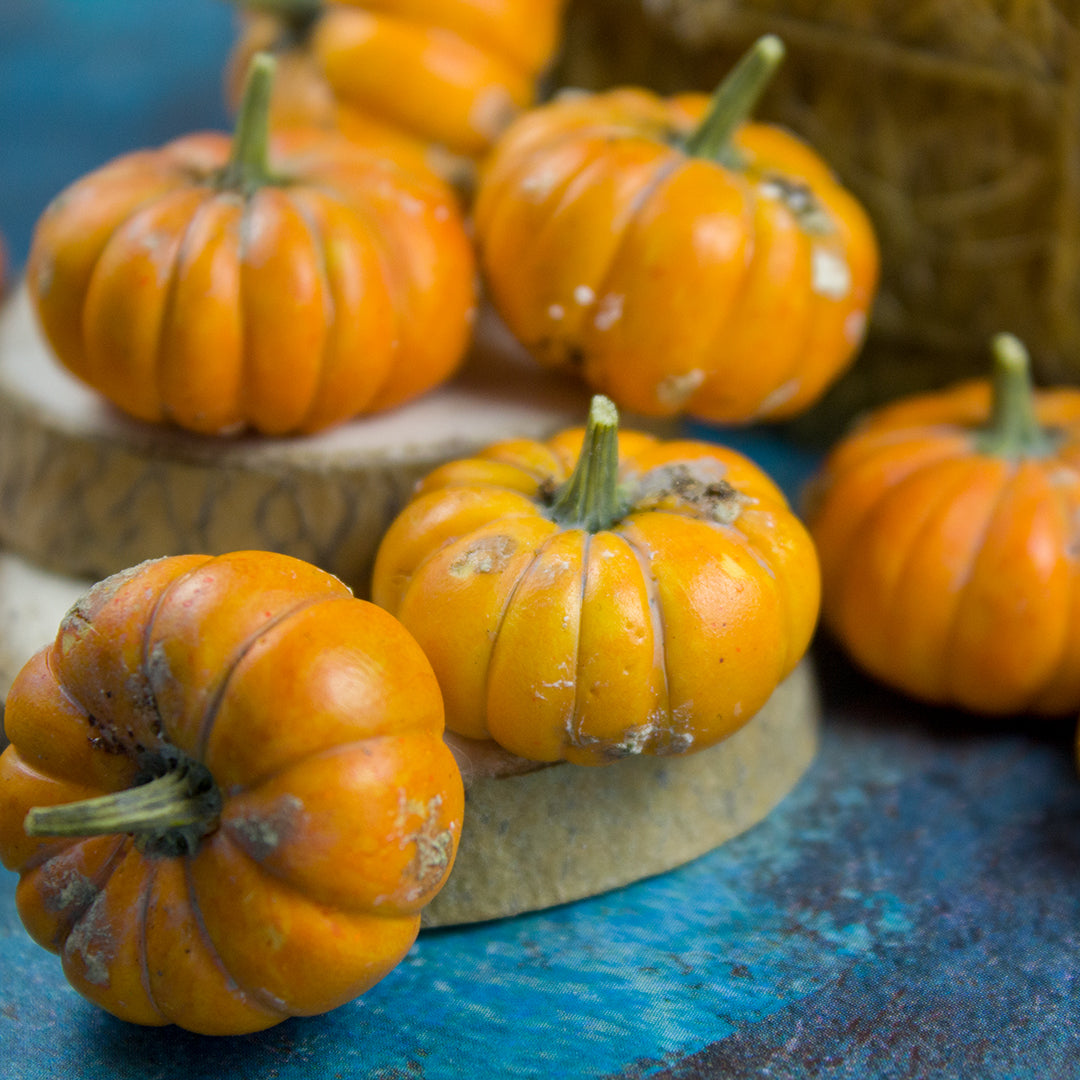 TUTORIAL Miniature dirty pumpkins with polymer clay | PDF + video