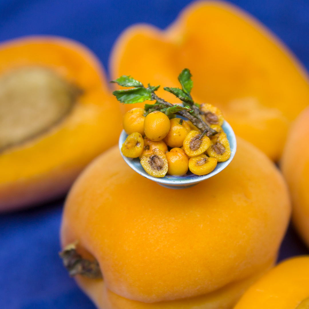 TUTORIAL Miniature apricot with polymer clay | PDF + video