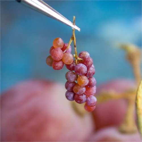 TUTORIAL Miniature red grape with polymer clay for 1:12 scale dollhouse | PDF + video