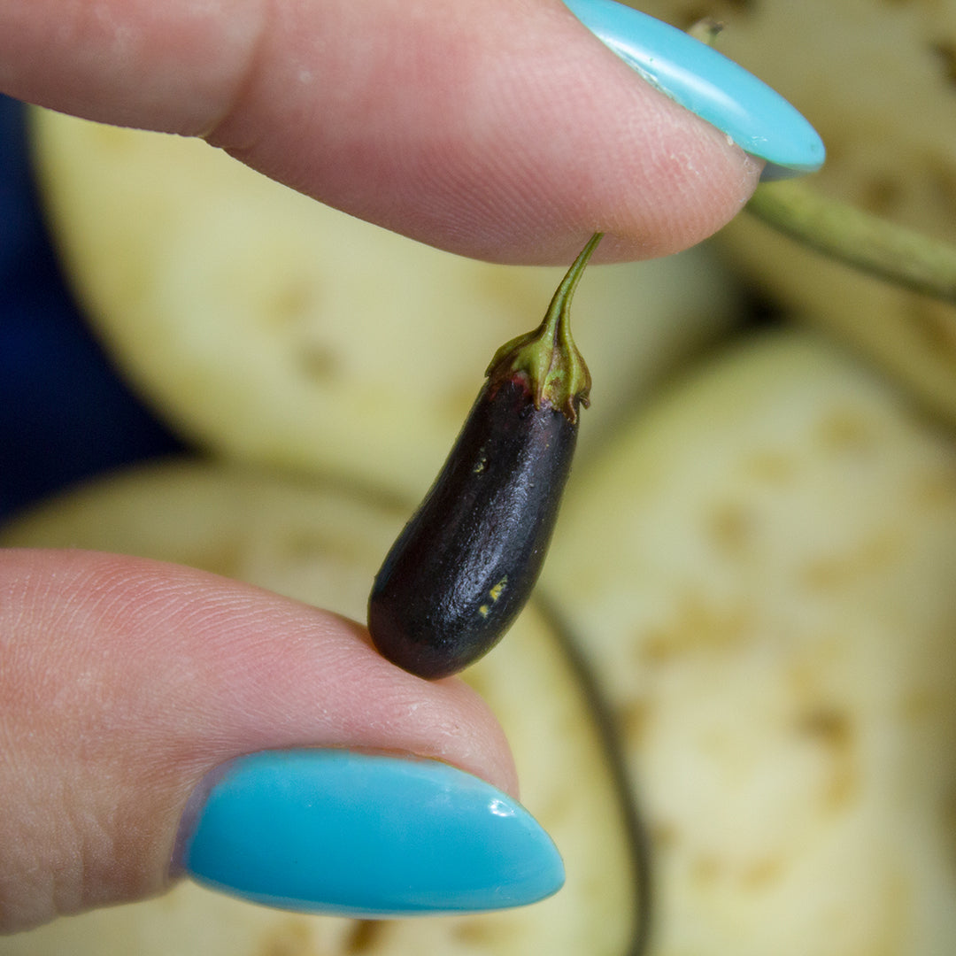 TUTORIAL Miniature eggplant with polymer clay | PDF + video