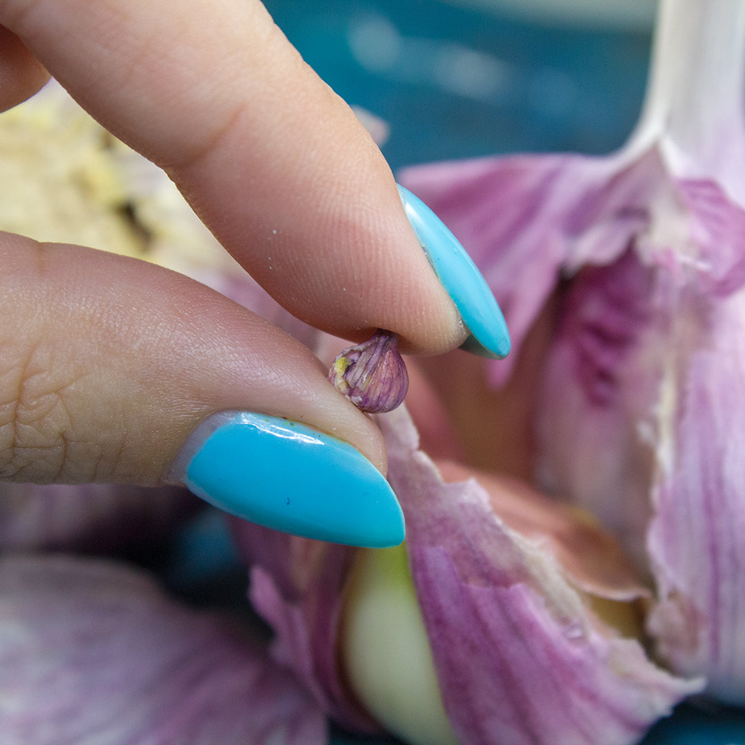 TUTORIAL Miniature garlic with polymer clay for 1:12 scale dollhouse | PDF + video