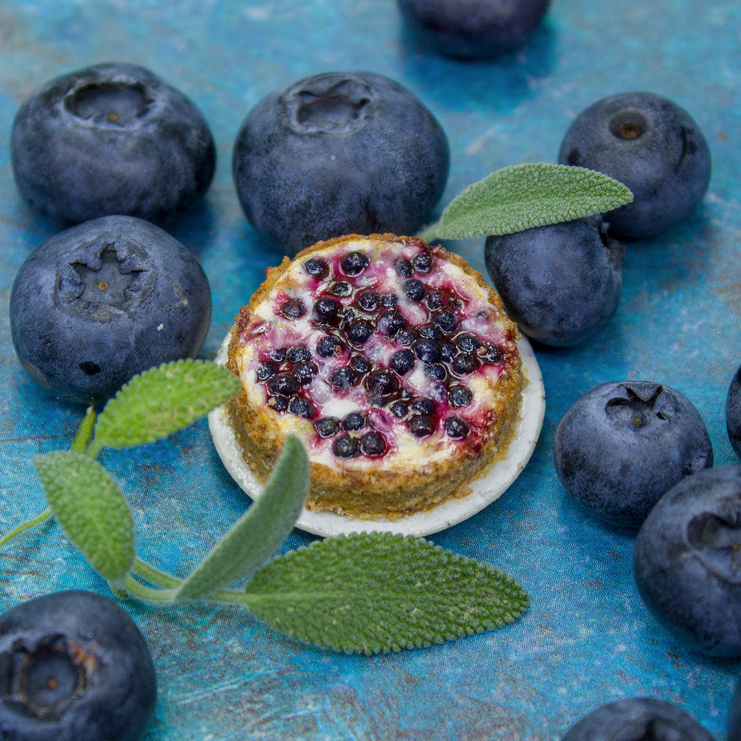 TUTORIAL Miniature blueberry cheesecake with polymer clay | PDF + video