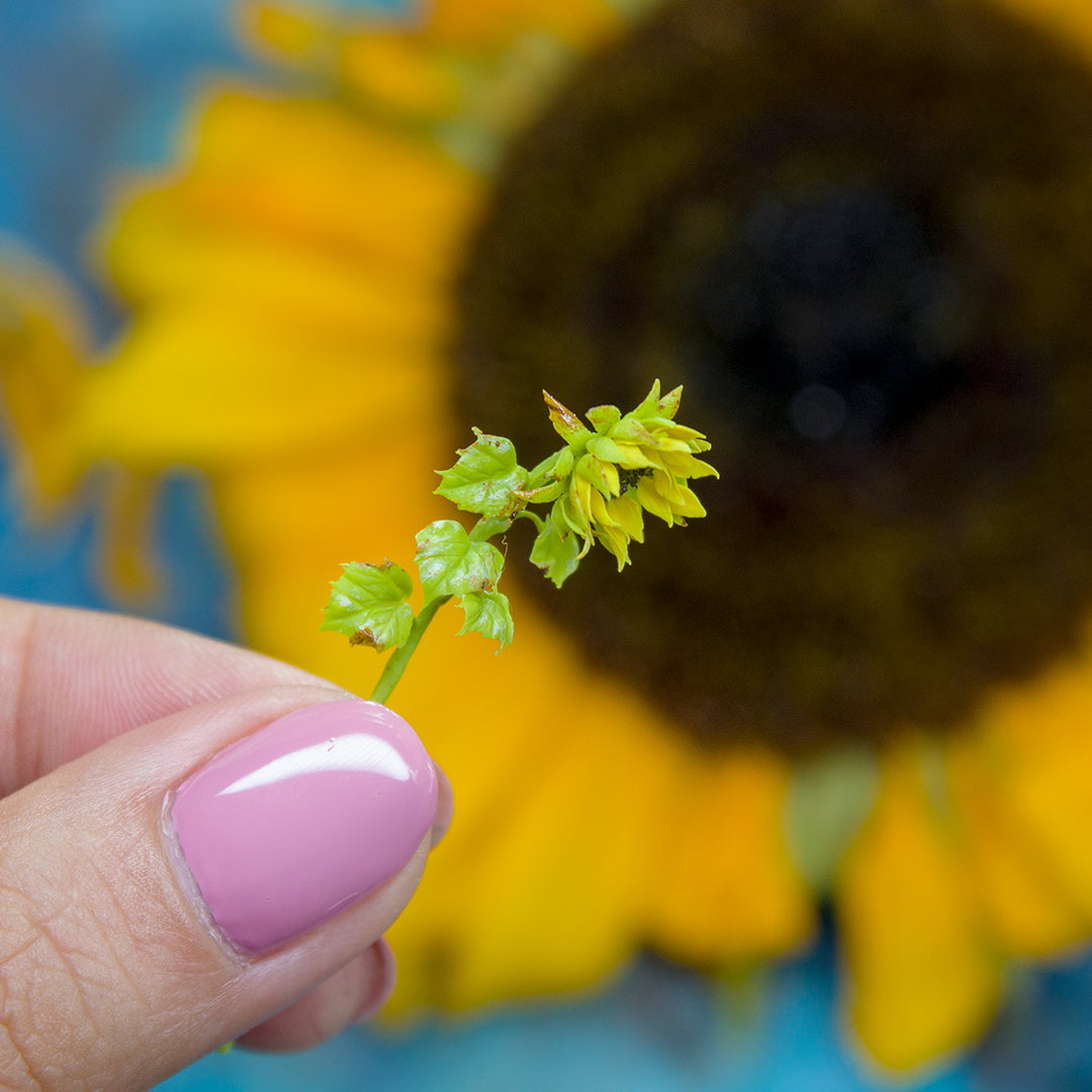 TUTORIAL Miniature sunflower with air dry clay | PDF + video