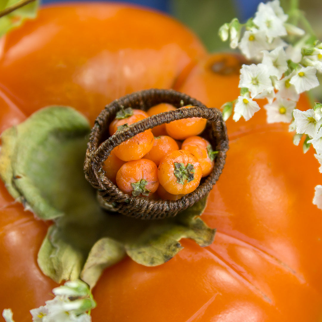 TUTORIAL Miniature persimmon with polymer clay | PDF + video