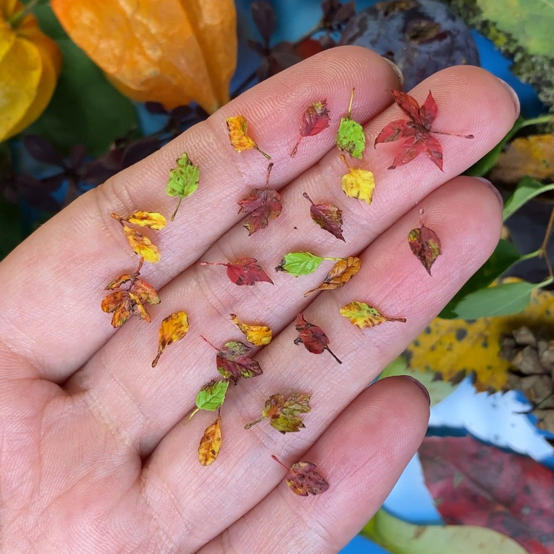 TUTORIAL Miniature autumn leaves with air dry clay | PDF + video