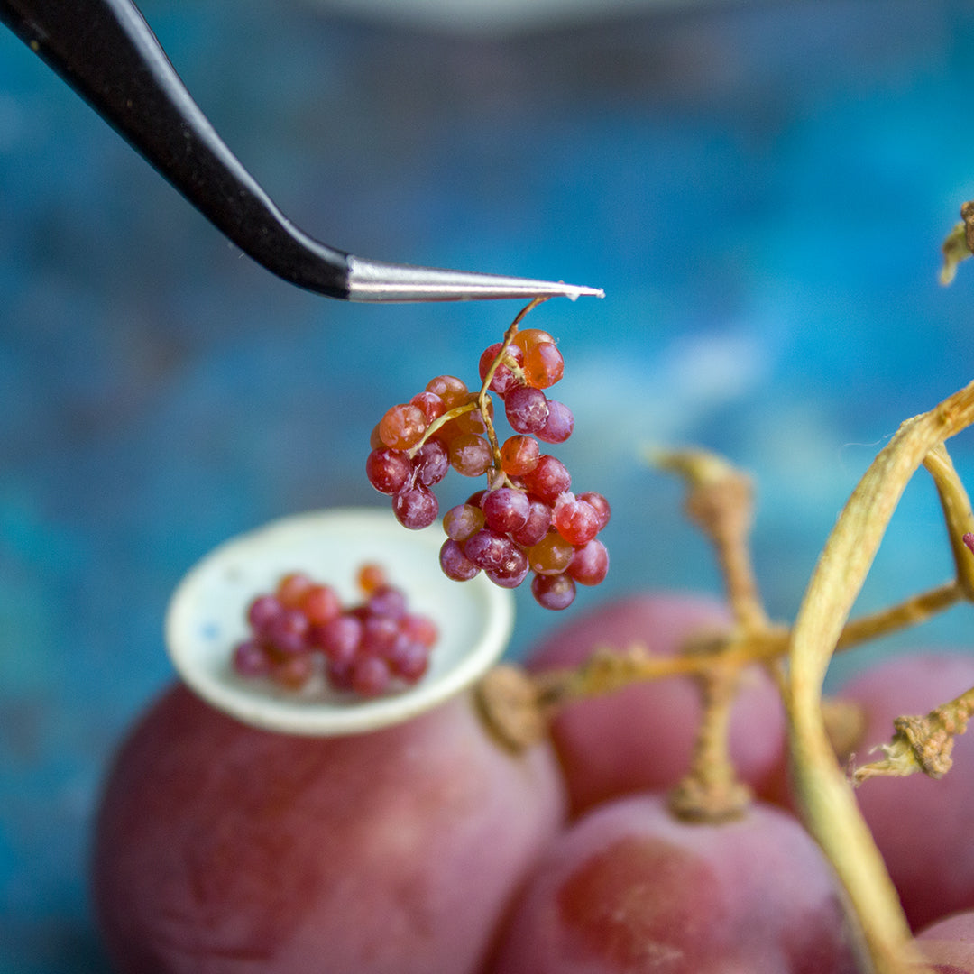 TUTORIAL Miniature red grape with polymer clay for 1:12 scale dollhouse | PDF + video
