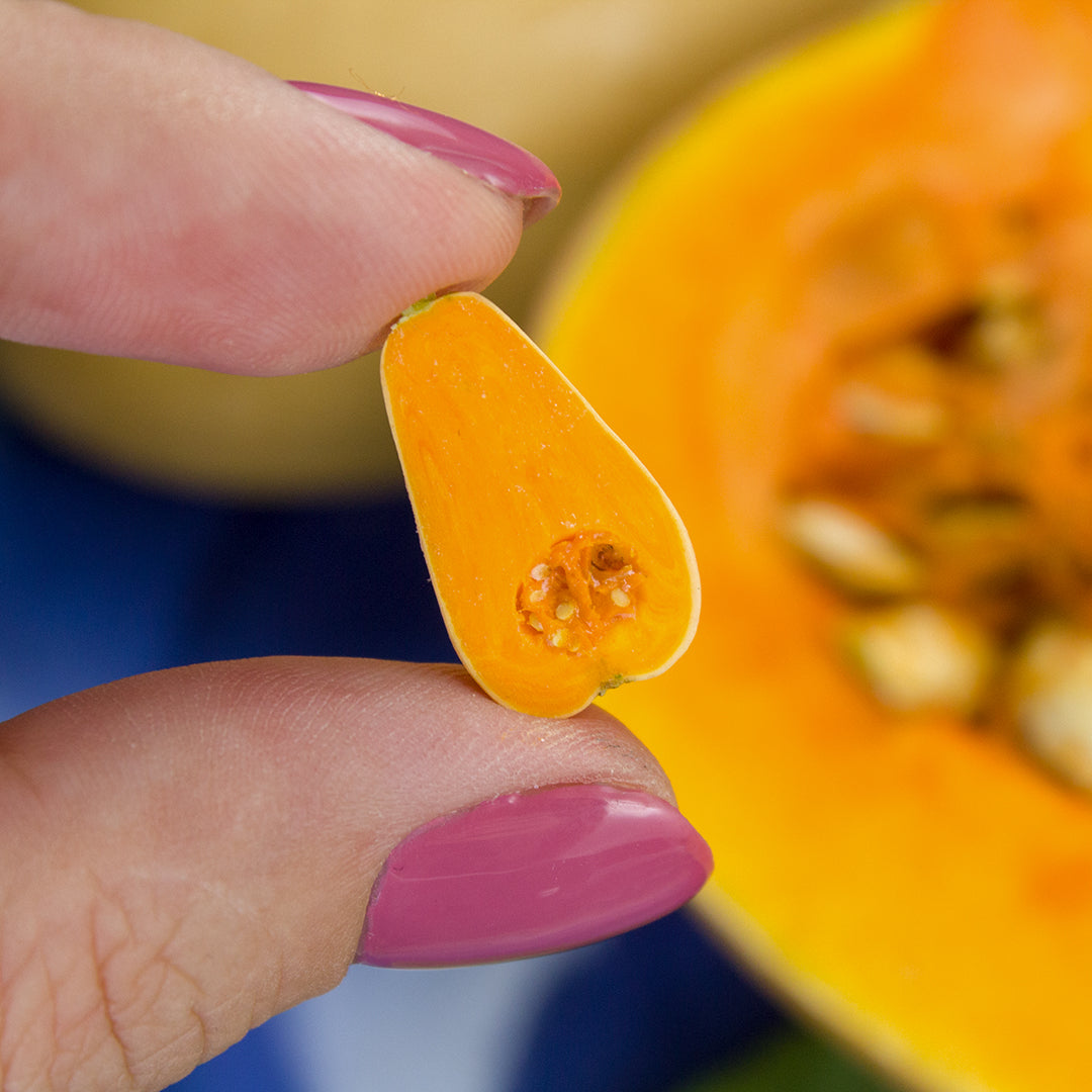 TUTORIAL Miniature bottle pumpkin / miniature butternut squash with polymer clay | PDF + video