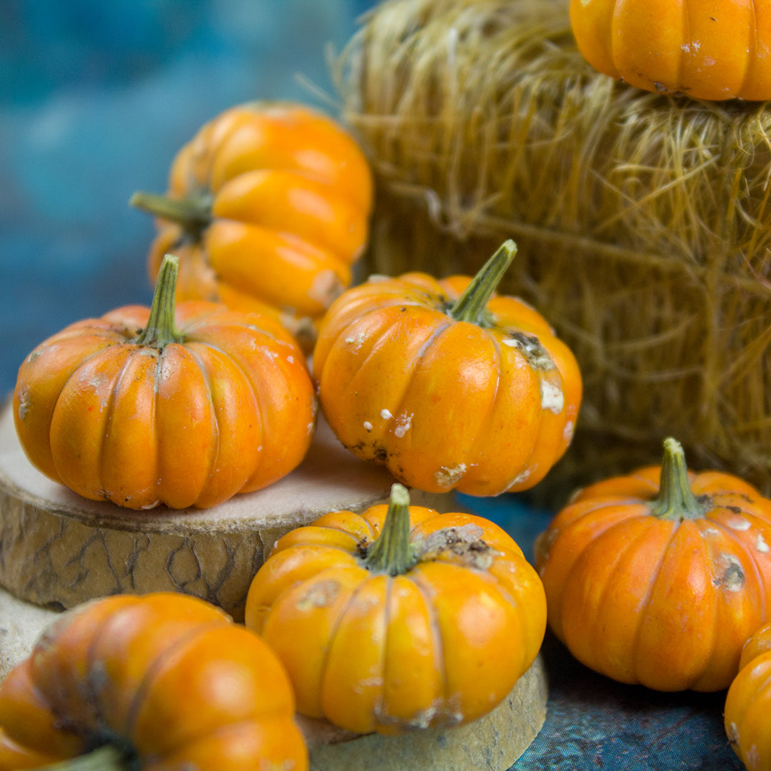 TUTORIAL Miniature dirty pumpkins with polymer clay | PDF + video