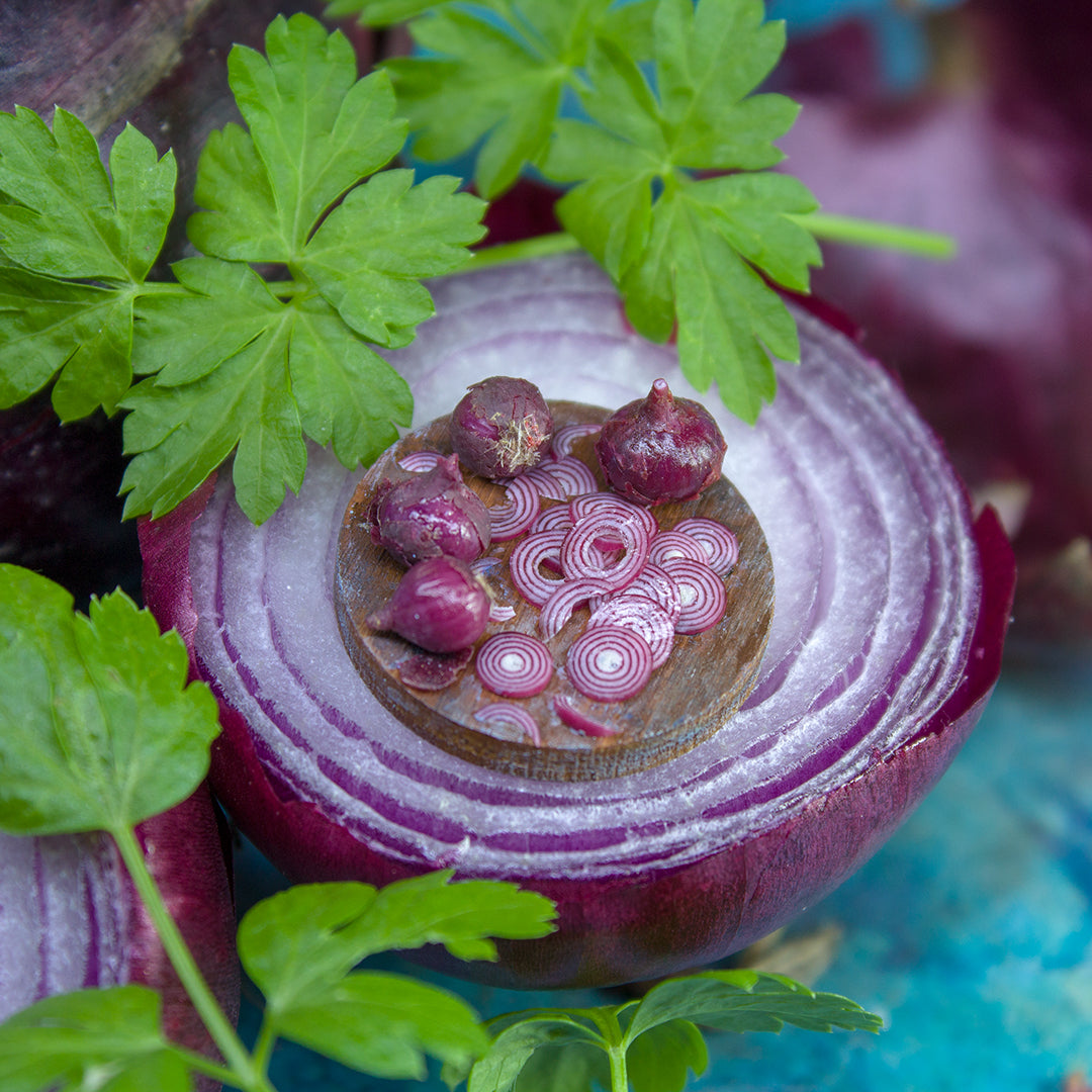 TUTORIAL Miniature red onion with polymer clay for 1:12 scale dollhouse | PDF + video