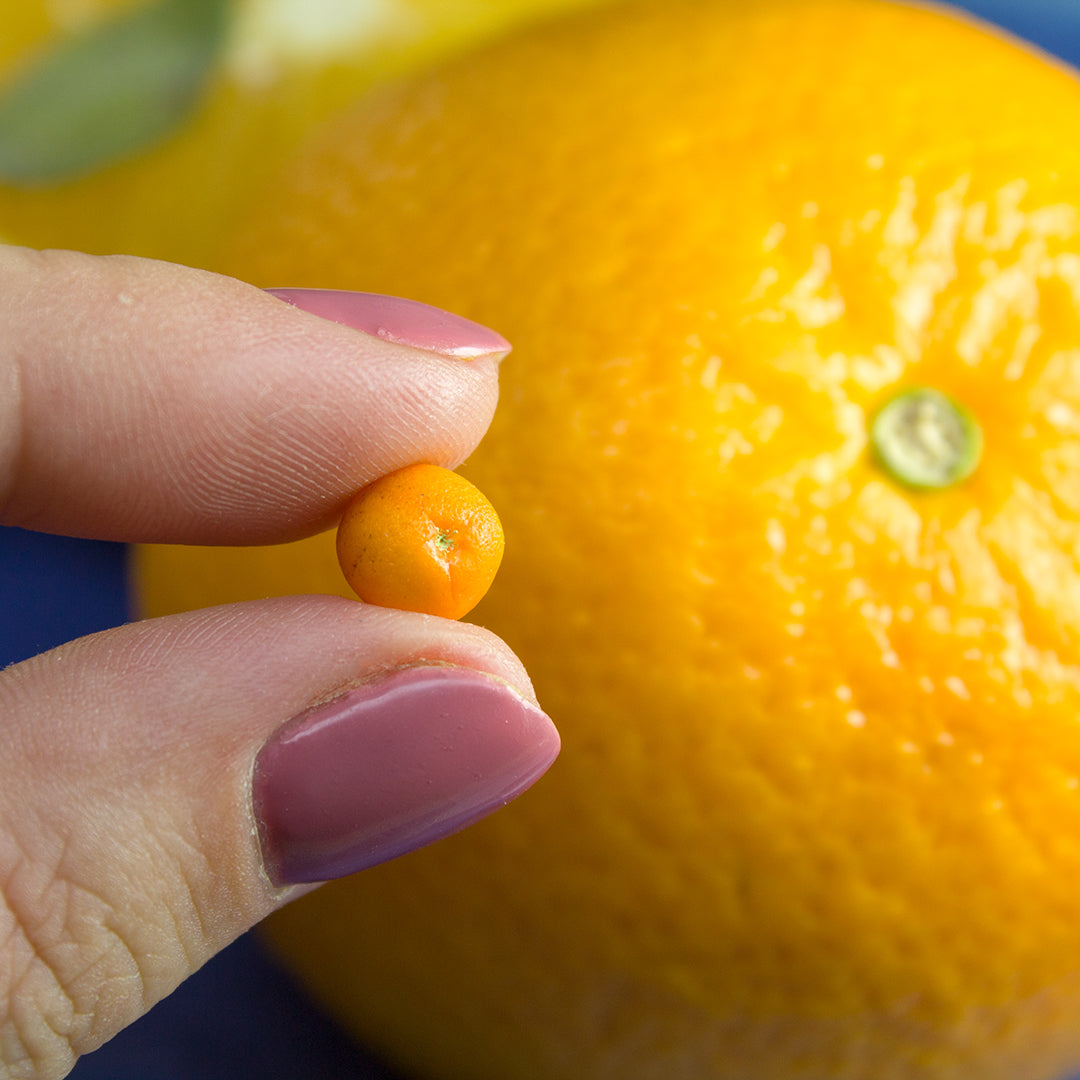 TUTORIAL Miniature orange cane with polymer clay for 1:12 scale dollhouse | PDF + video