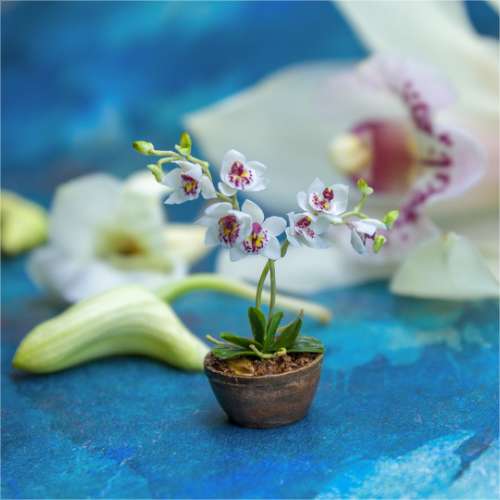 TUTORIAL Miniature orchid with air dry clay | PDF + video