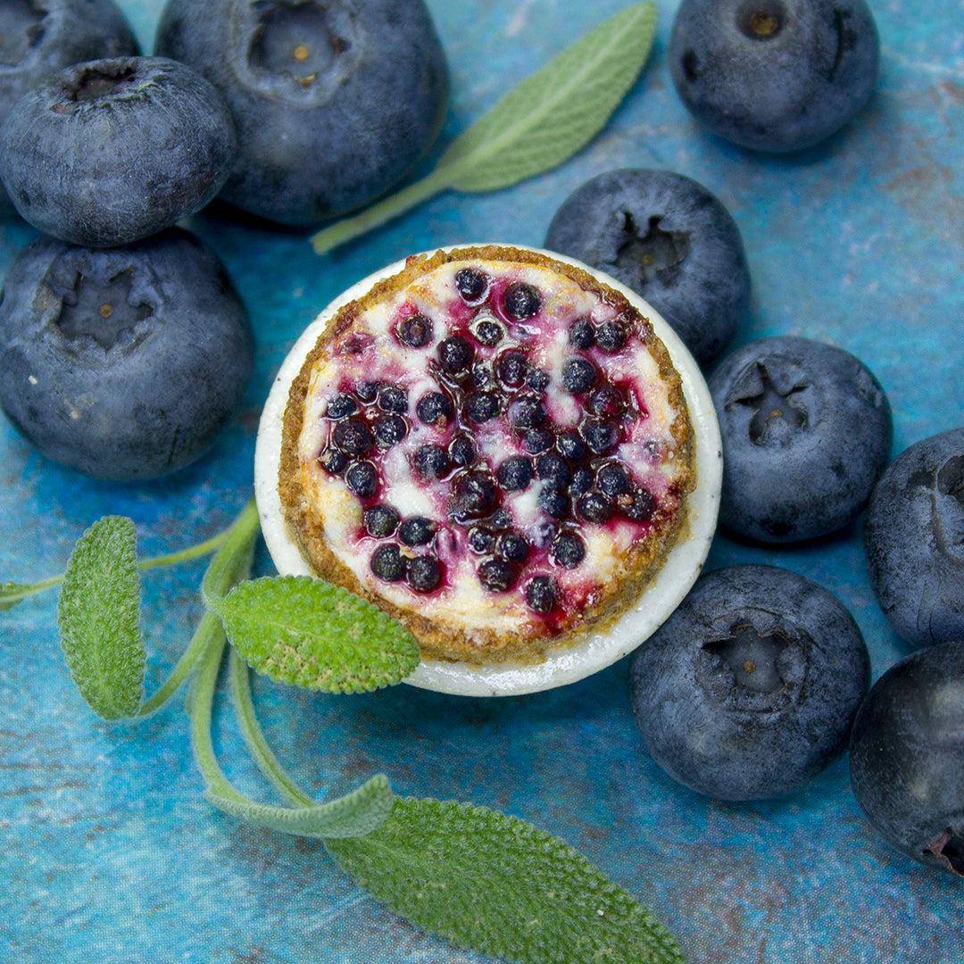 TUTORIAL Miniature blueberry cheesecake with polymer clay | PDF + video