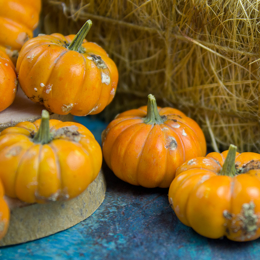 TUTORIAL Miniature dirty pumpkins with polymer clay | PDF + video