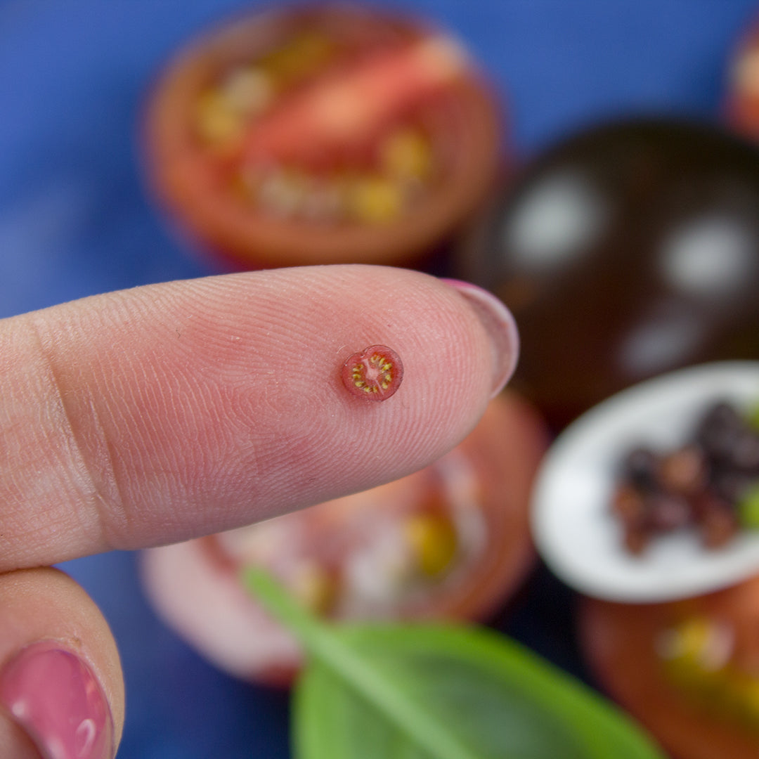 TUTORIAL Miniature chocolate cherry tomato cane with polymer clay | PDF + video