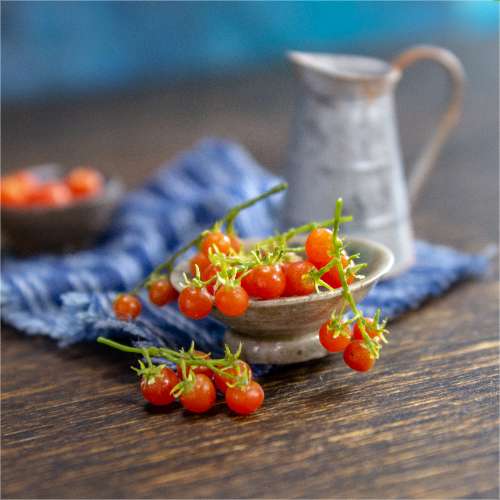 TUTORIAL Miniature polymer clay cherry tomato for 1:12 scale dollhouse | PDF + video
