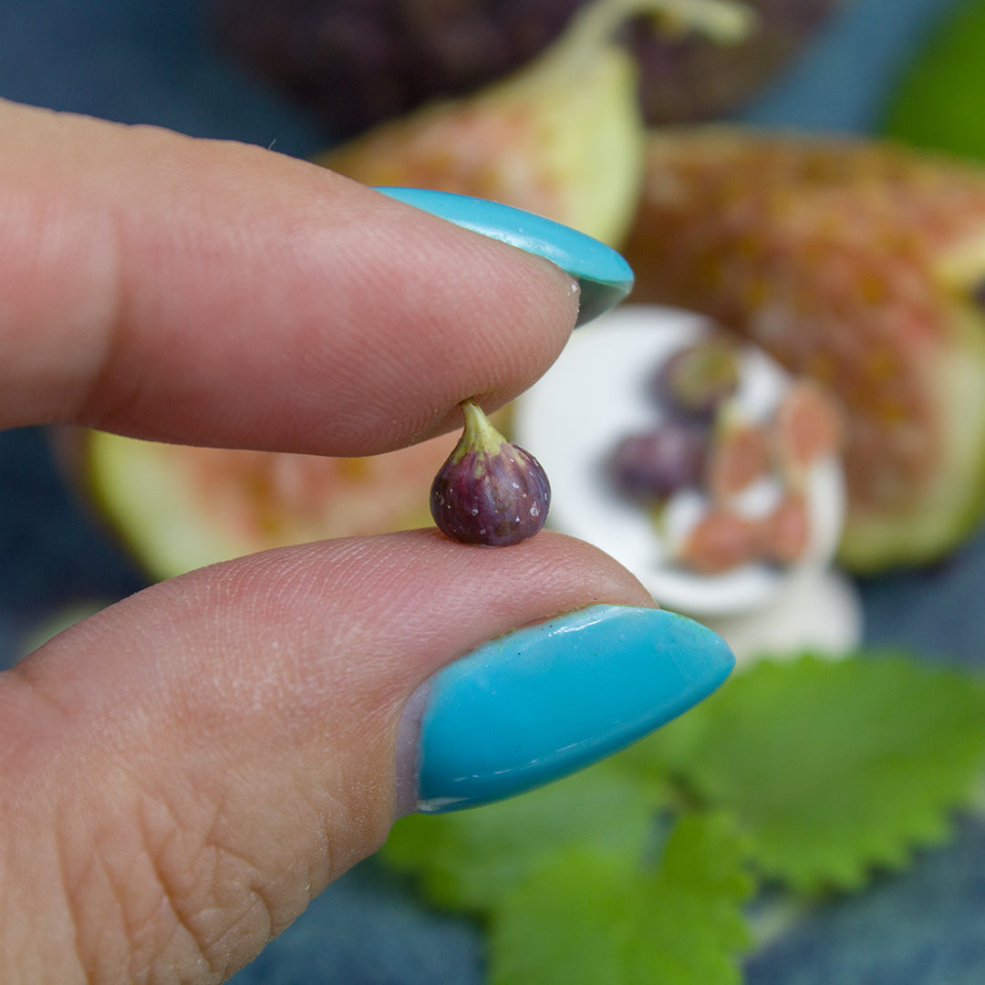 TUTORIAL Miniature fig cane with polymer clay | PDF + video