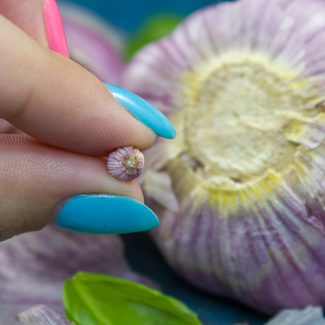 TUTORIAL Miniature garlic with polymer clay for 1:12 scale dollhouse | PDF + video