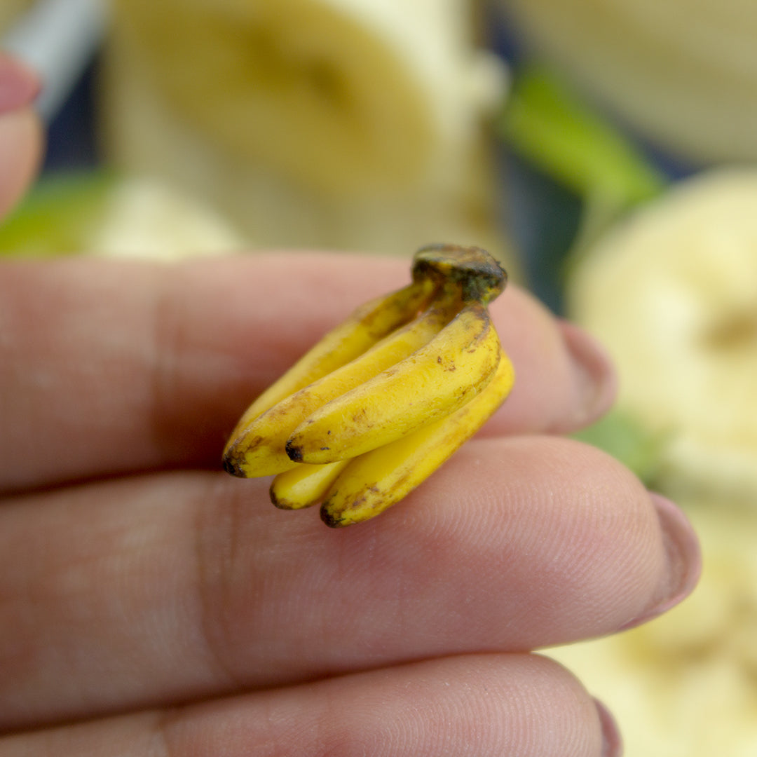 TUTORIAL Miniature banana cane with polymer clay for 1:12 scale dollhouse | PDF + video