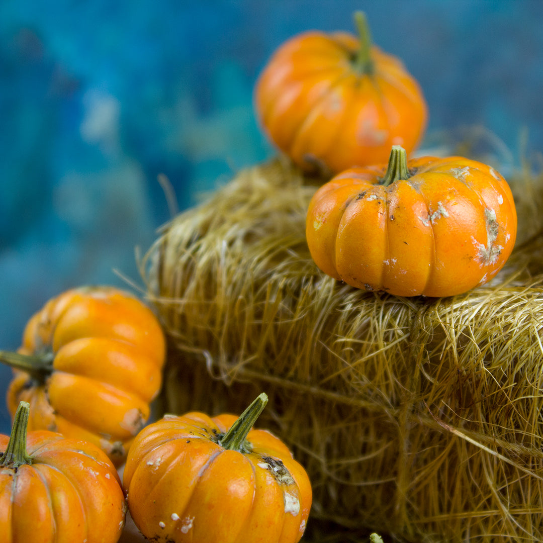 TUTORIAL Miniature dirty pumpkins with polymer clay | PDF + video