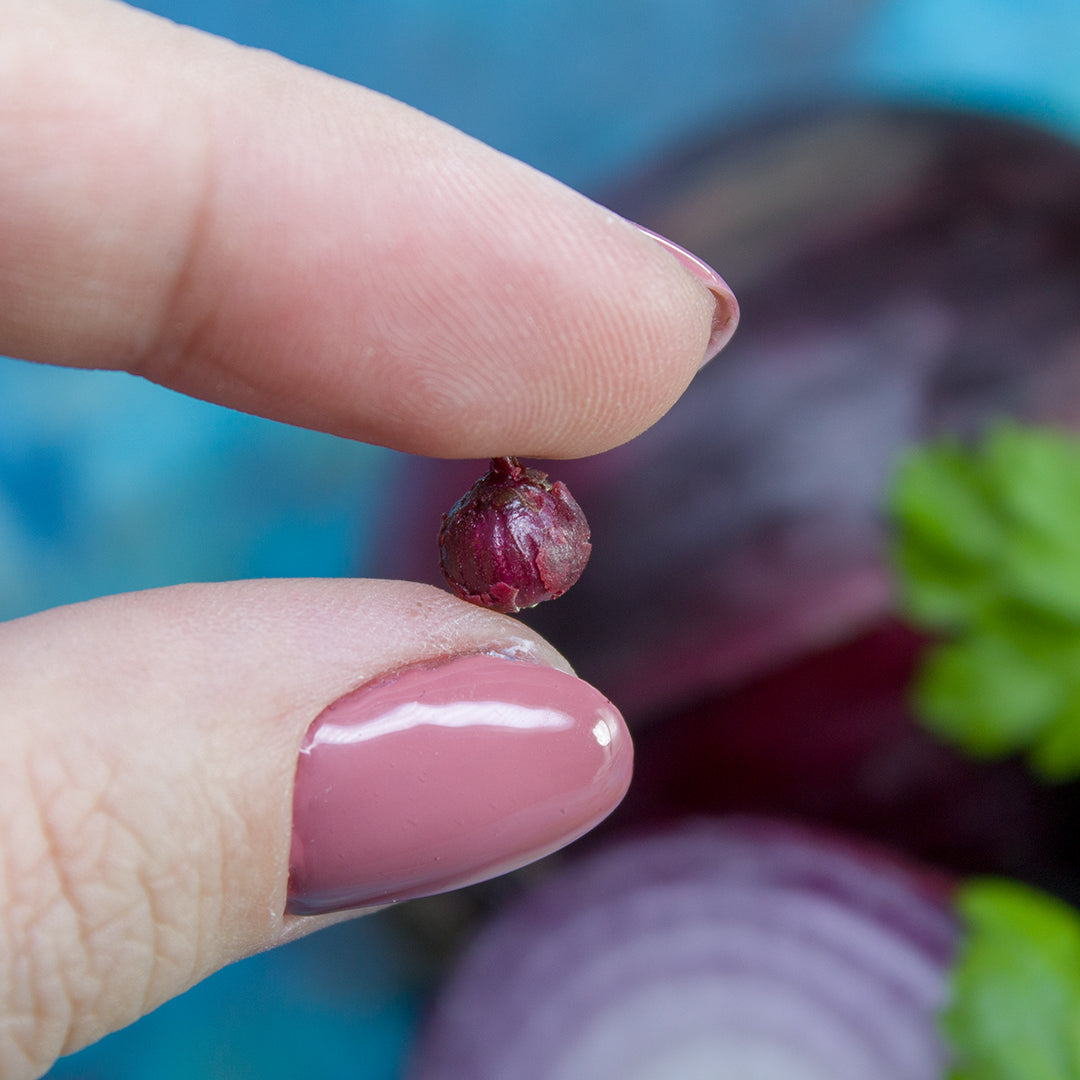 TUTORIAL Miniature red onion with polymer clay for 1:12 scale dollhouse | PDF + video