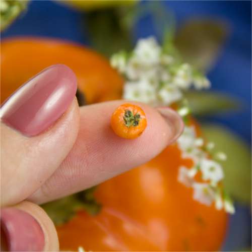 TUTORIAL Miniature persimmon with polymer clay | PDF + video