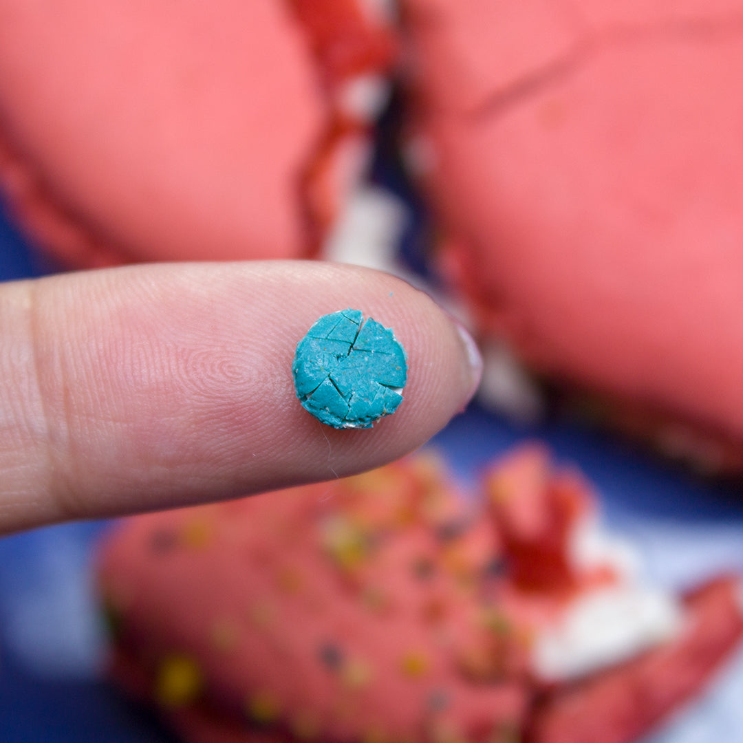 TUTORIAL Miniature macarons with polymer clay | PDF + video
