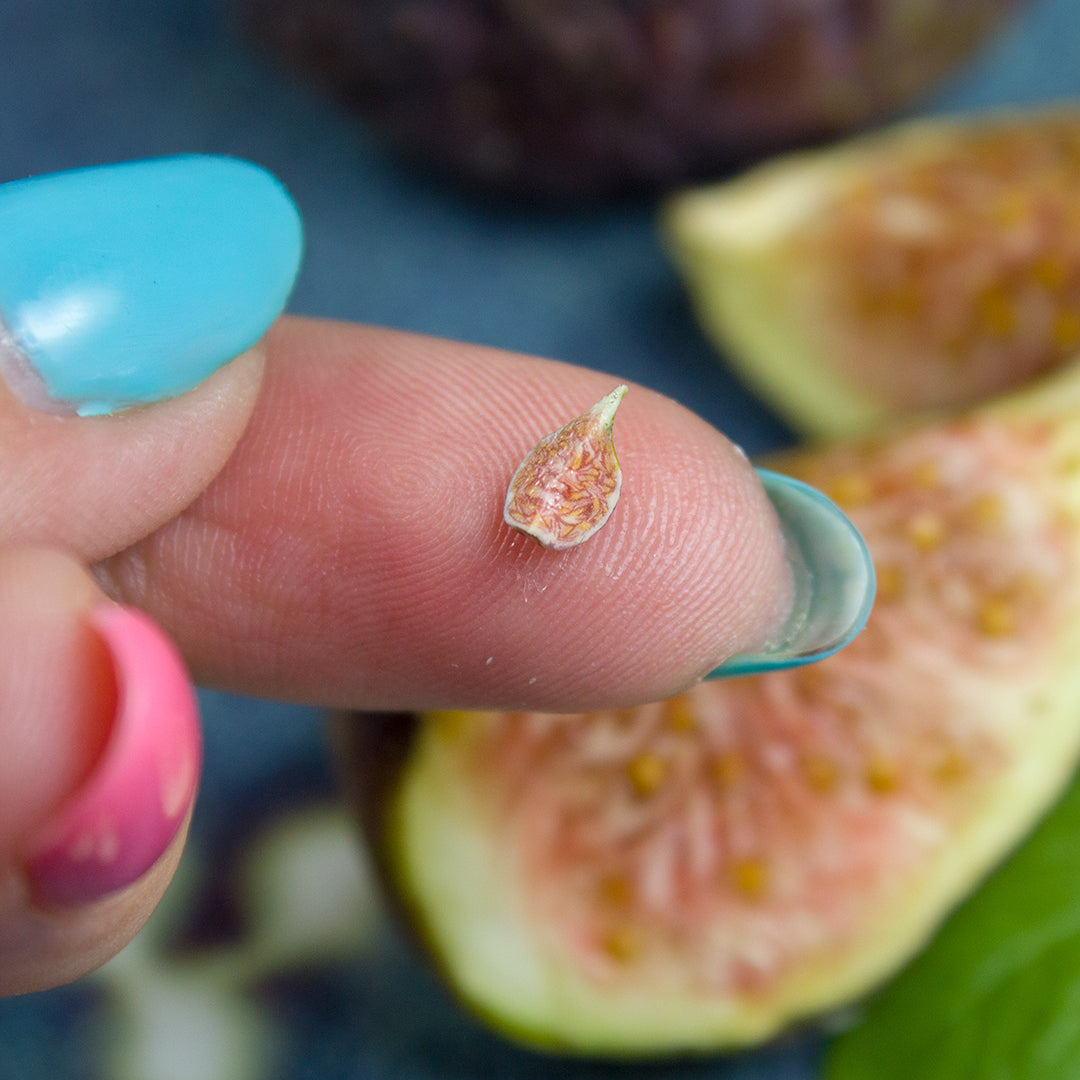 TUTORIAL Miniature fig cane with polymer clay | PDF + video
