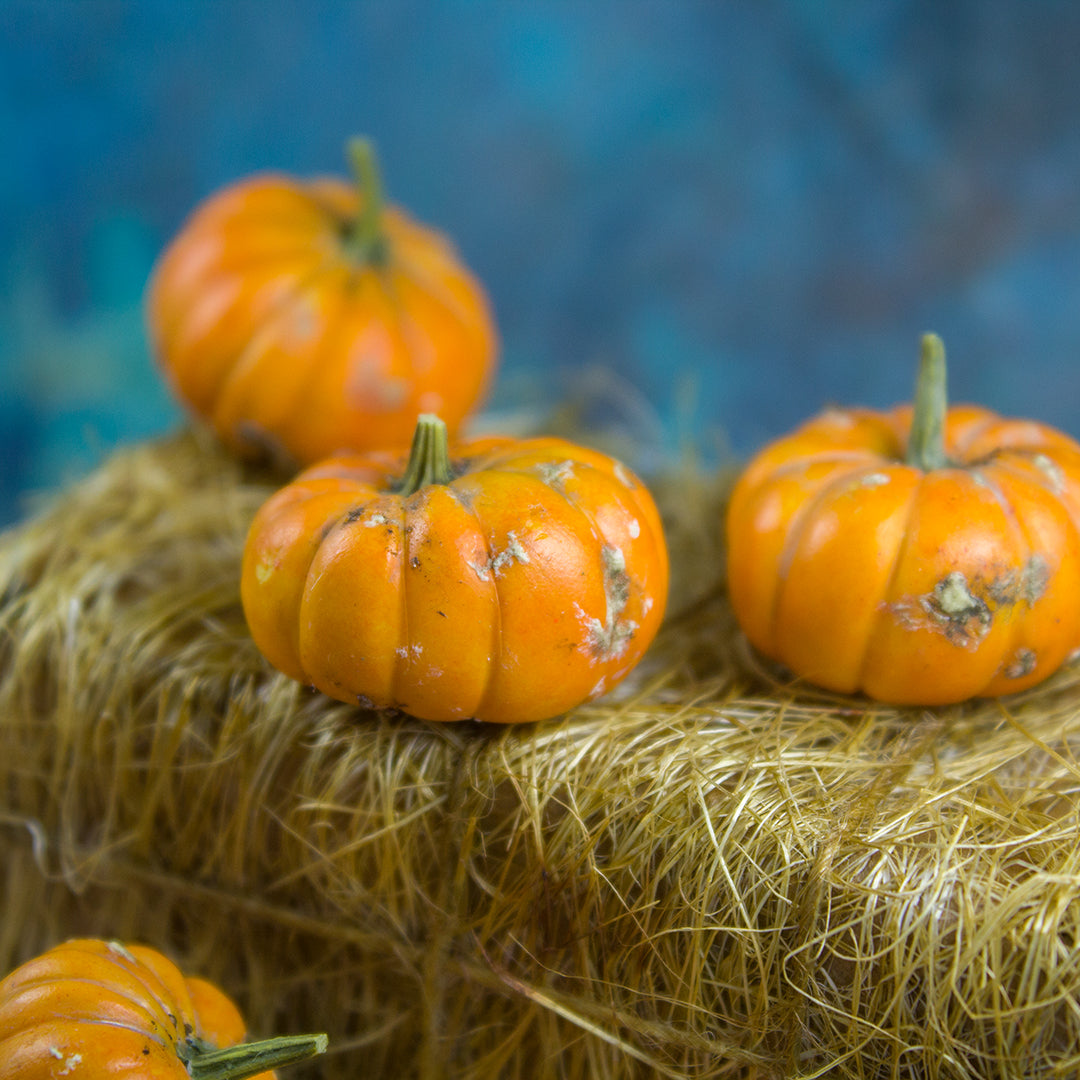 TUTORIAL Miniature dirty pumpkins with polymer clay | PDF + video