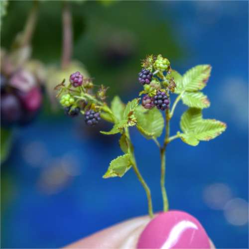 TUTORIAL Miniature blackberry branch with polymer clay for 1:12 scale dollhouse | PDF + video